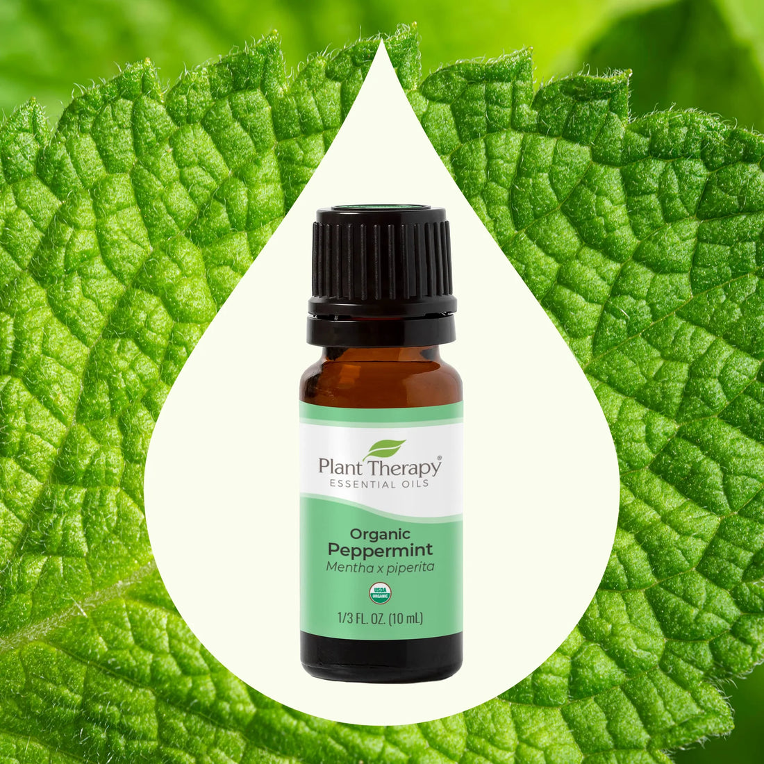 Peppermint Essential Oil: A Refreshing Breath of Nature's Bounty