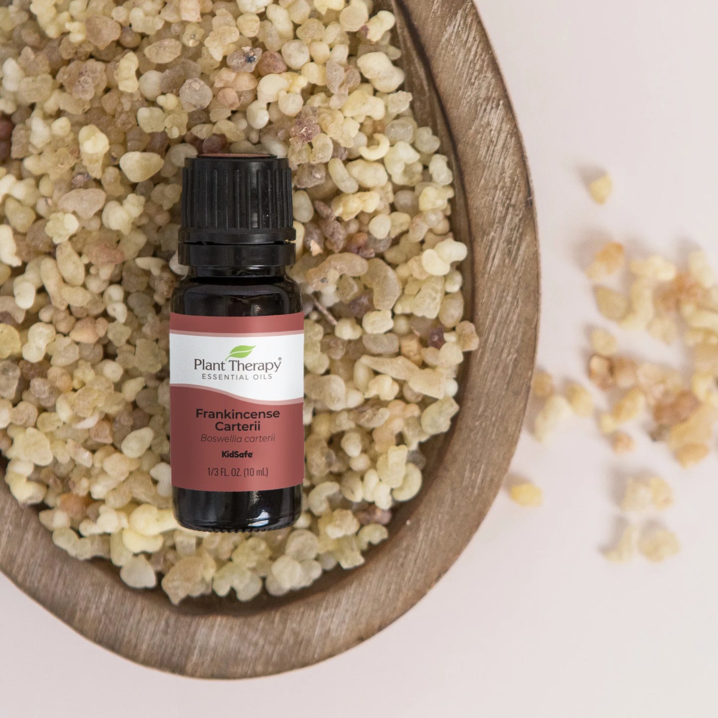 Frankincense Carteri 10ml Essential Oil