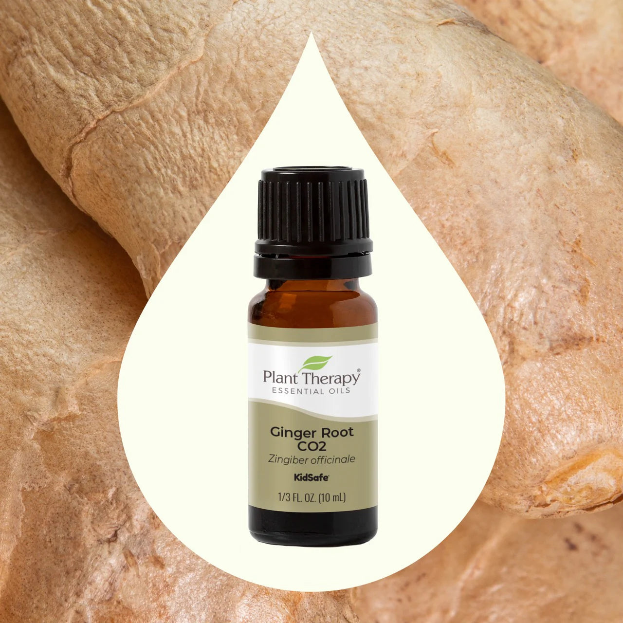 Ginger Essential Oil