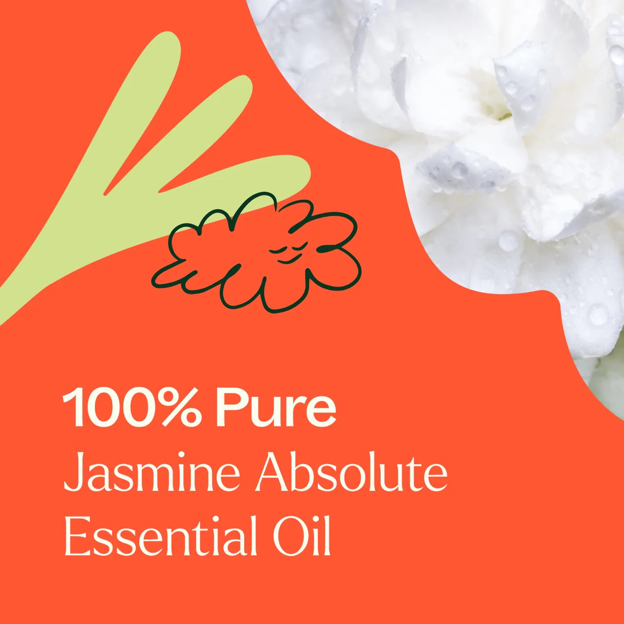 Jasmine  Absolute Essential Oil