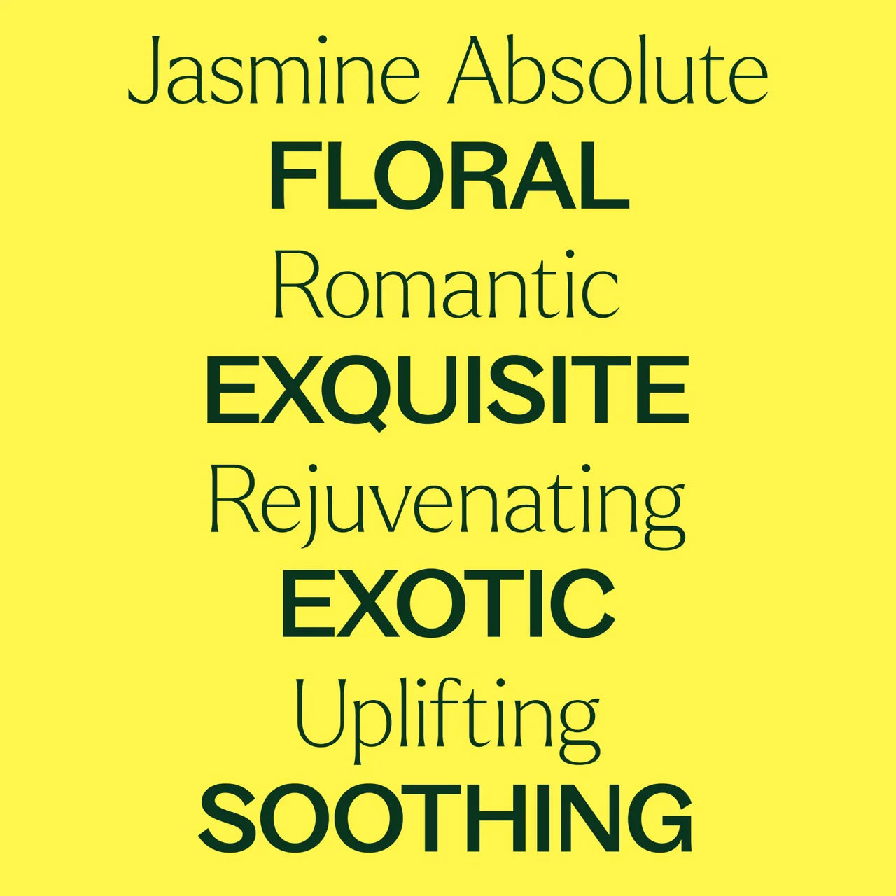 Jasmine  Absolute Essential Oil