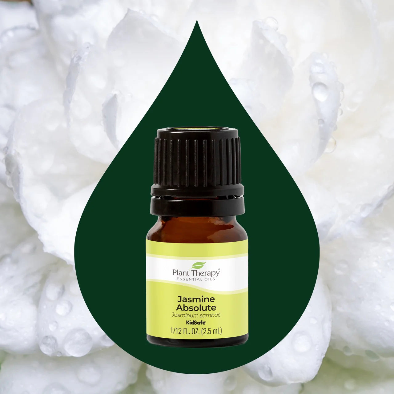 Jasmine  Absolute Essential Oil