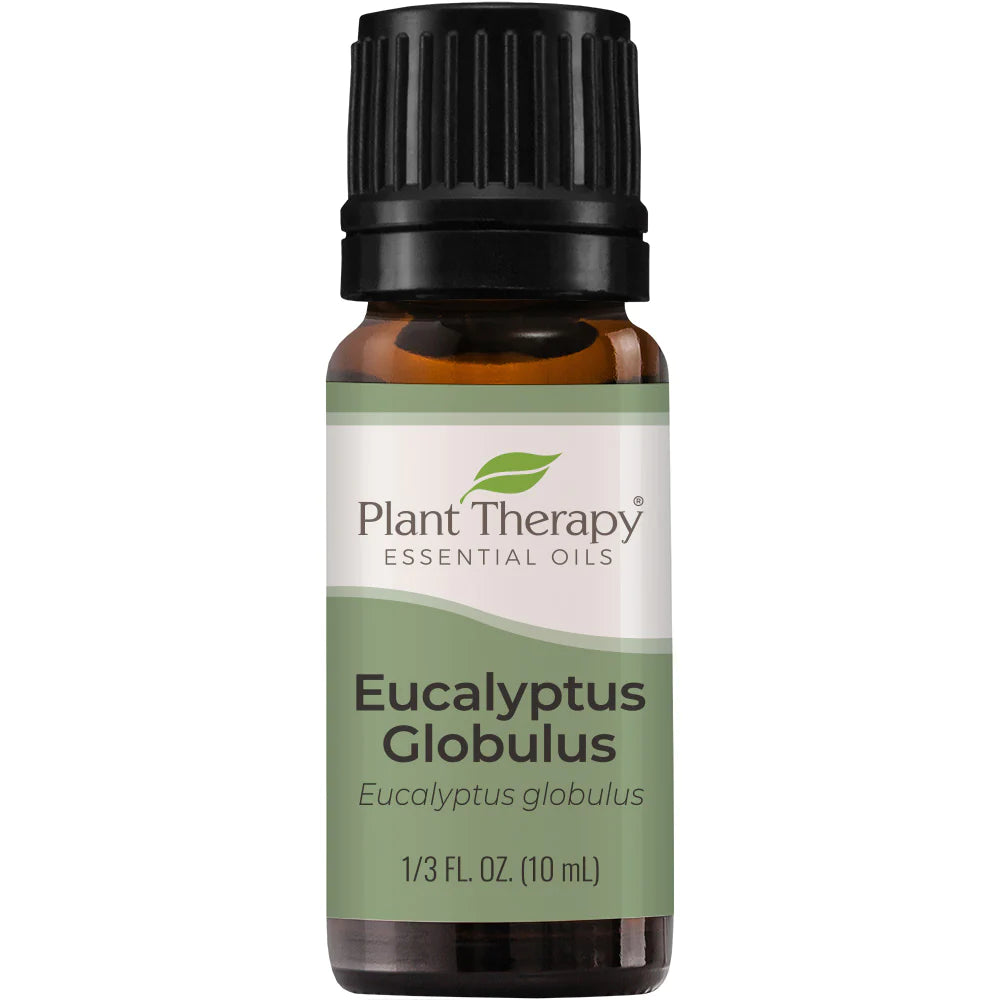 Eucalyptus Globulus 10ml Essential Oil