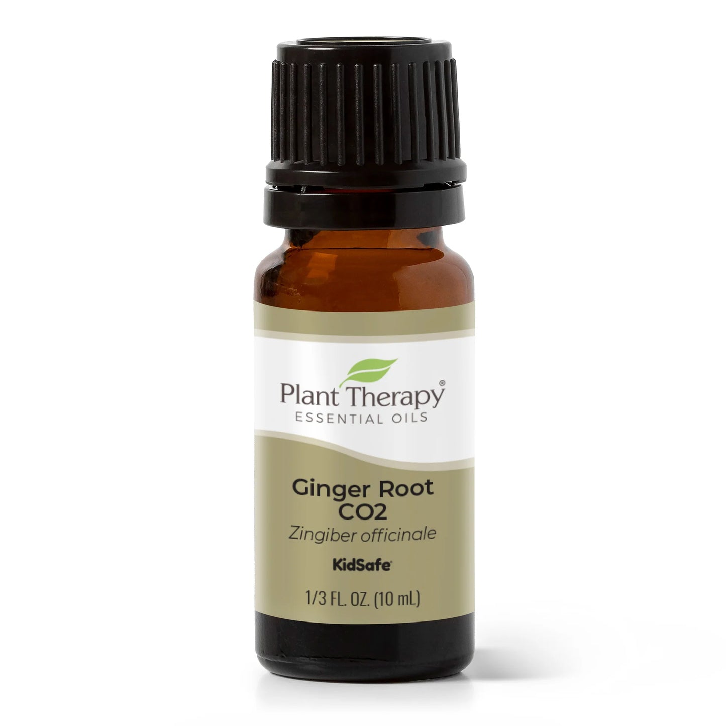 Ginger Essential Oil