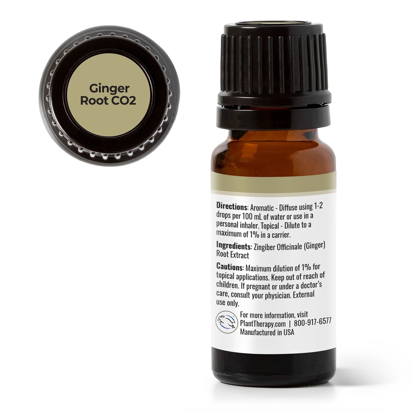 Ginger Essential Oil