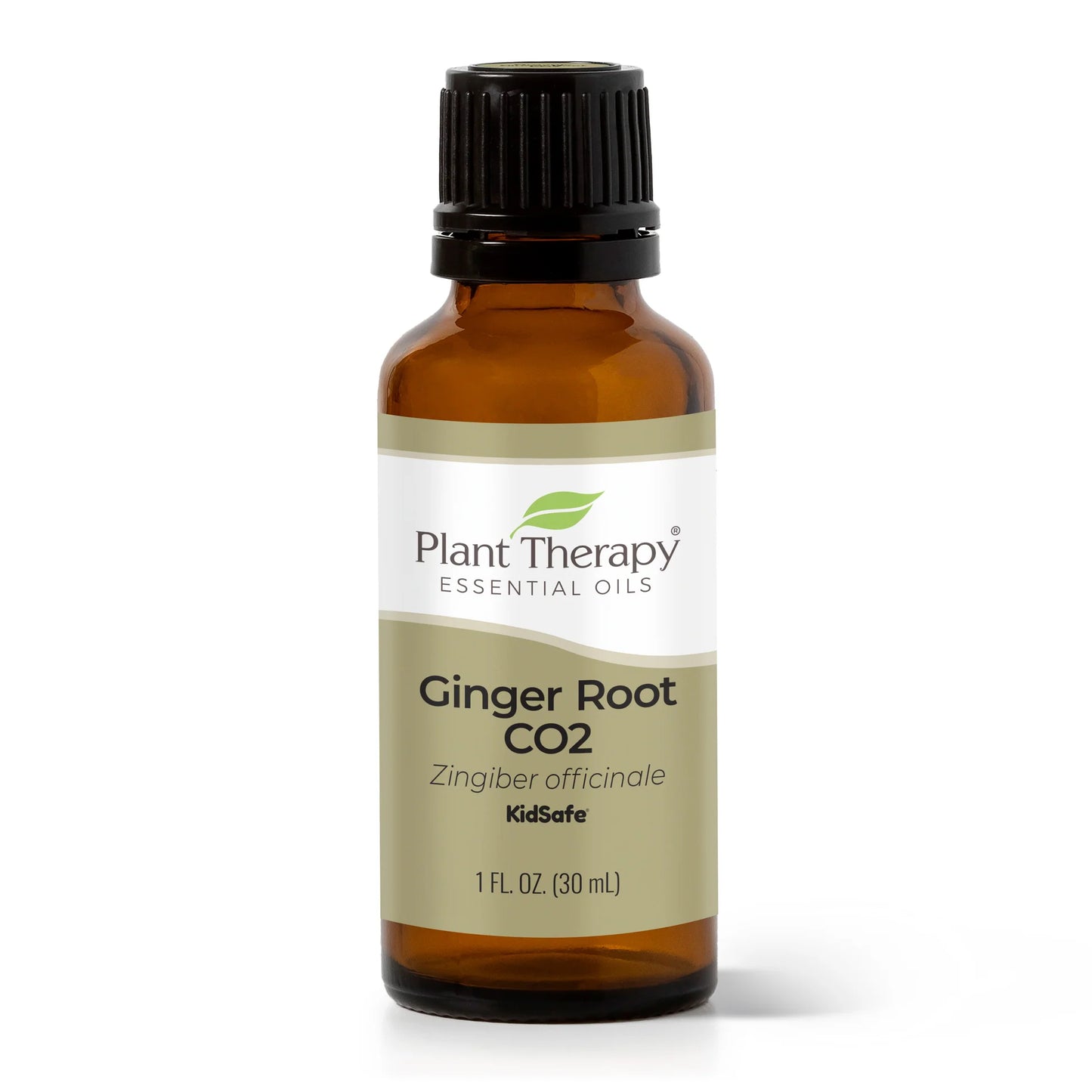 Ginger Essential Oil