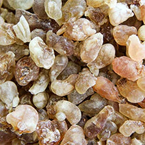 Frankincense Carteri 10ml Essential Oil