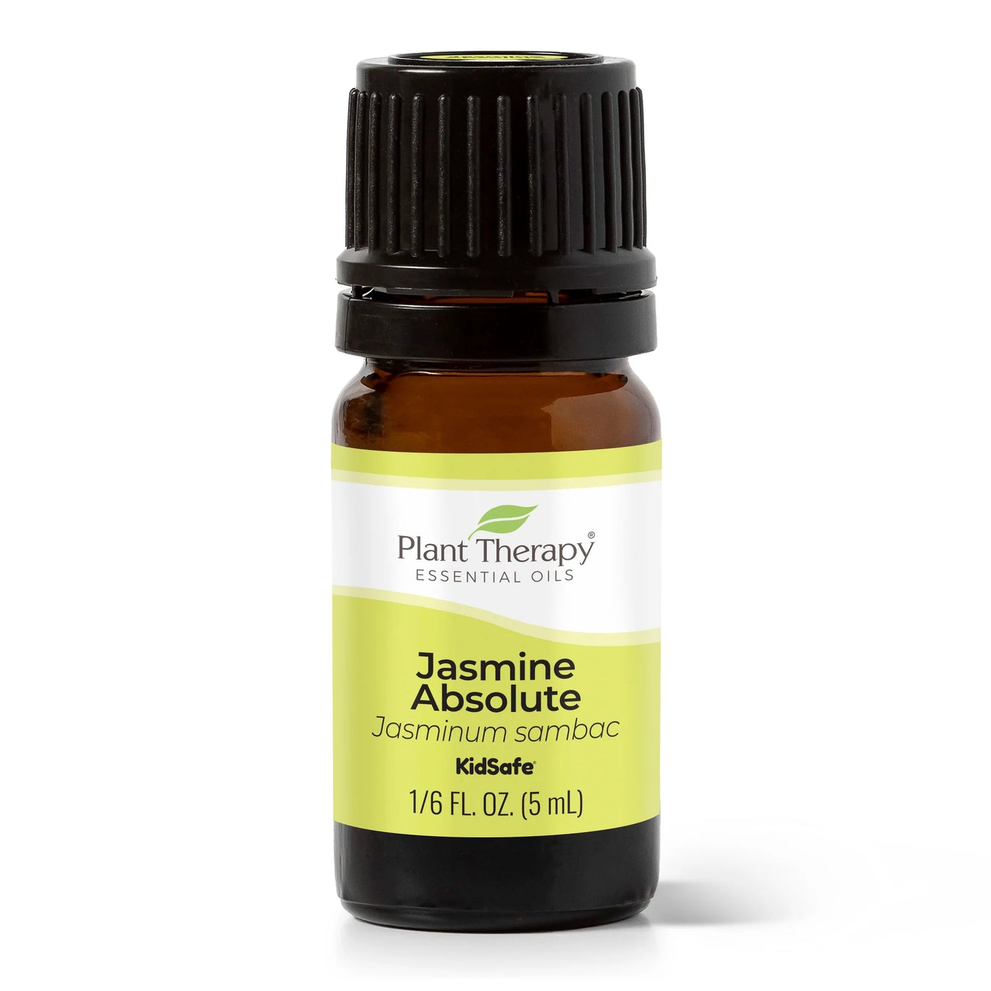 Jasmine  Absolute Essential Oil