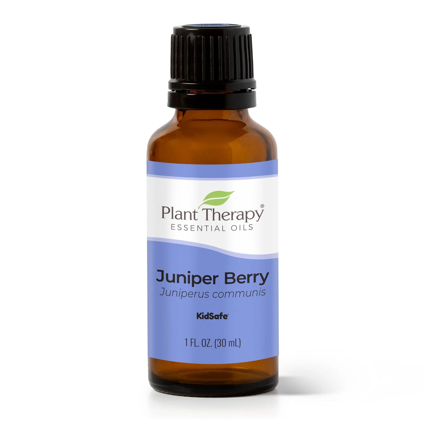 Organic Juniper Berry